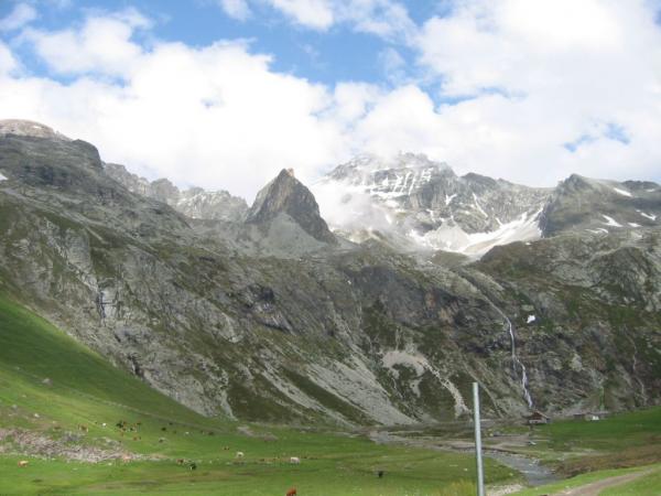 20060618-170620-TB.JPG