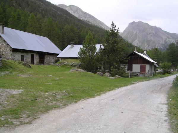 20060620-170704-IS.JPG