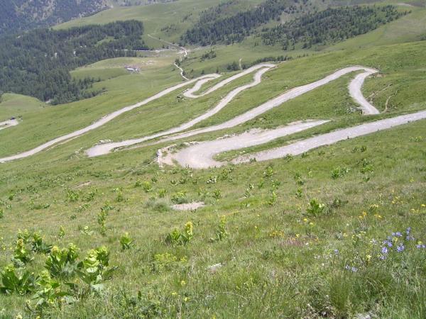 20060622-140608-IS.JPG