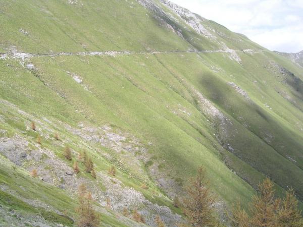 20060622-144636-IS.JPG