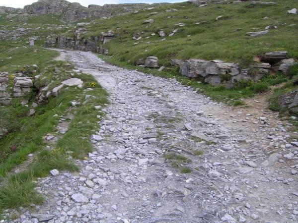 20060622-161950-IS.JPG