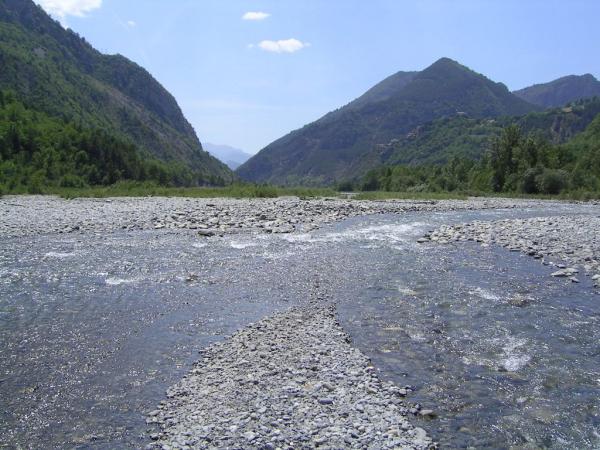20060623-144600-IS.JPG