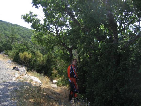 20060623-173136-PF.JPG
