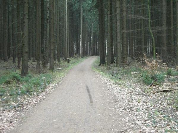 CIMG1745.jpg