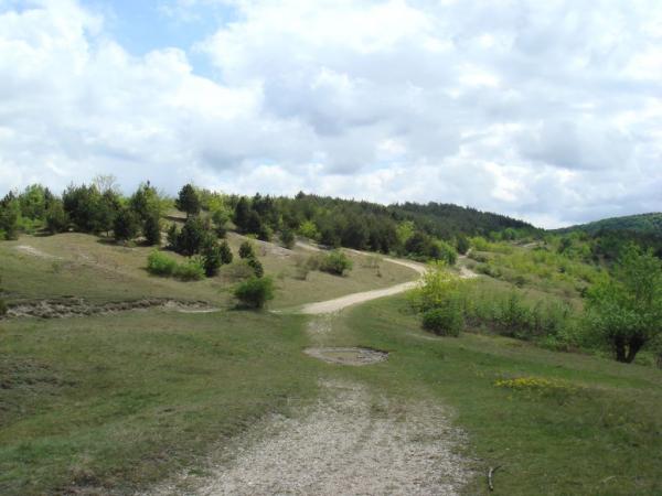 20070430-105226-MF.JPG