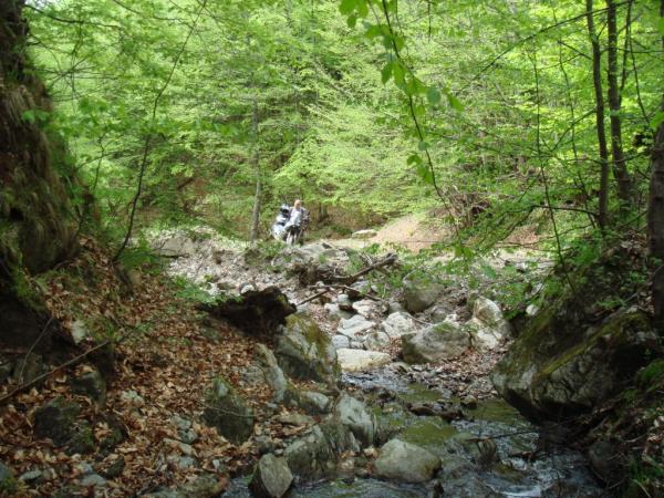 20070430-115432-MF.JPG