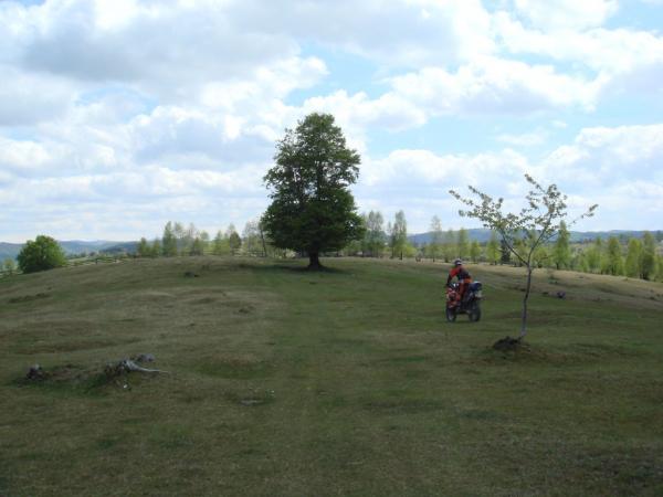 20070430-125106-MF.JPG