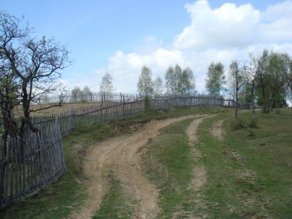 20070430-125340-MF.JPG
