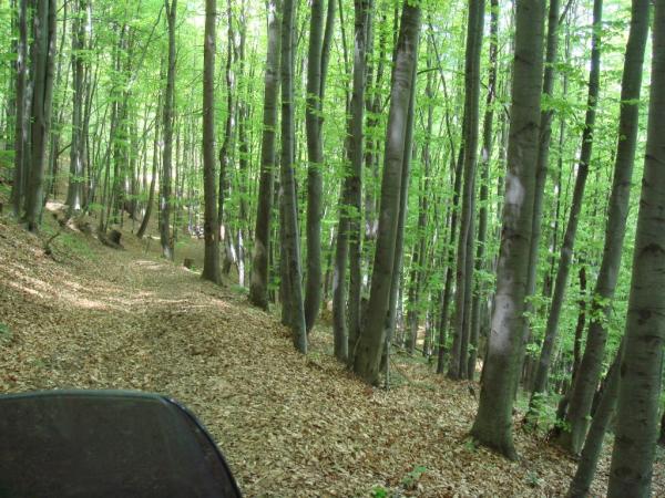 20070430-133312-MK.JPG