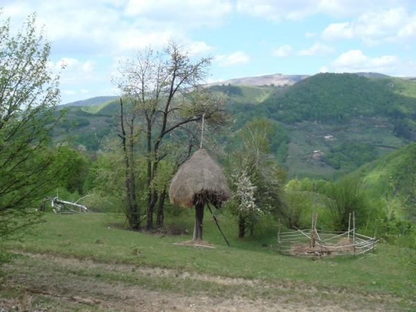 20070430-134134-MF.JPG