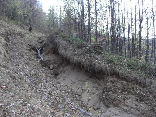 20070430-165208-MK.JPG