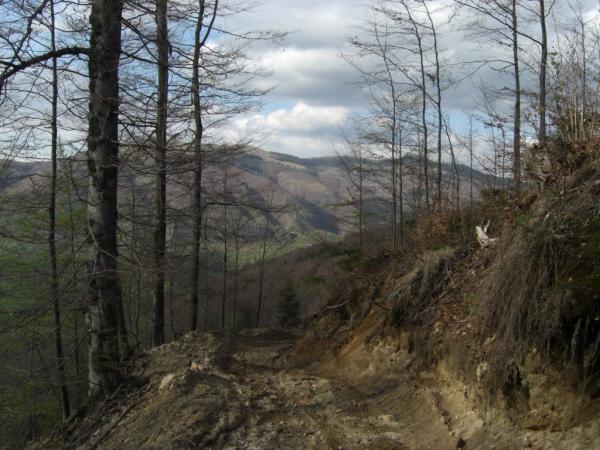 20070430-171616-MK.JPG