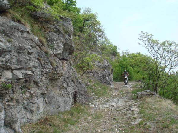 20070504-120328-MF.JPG