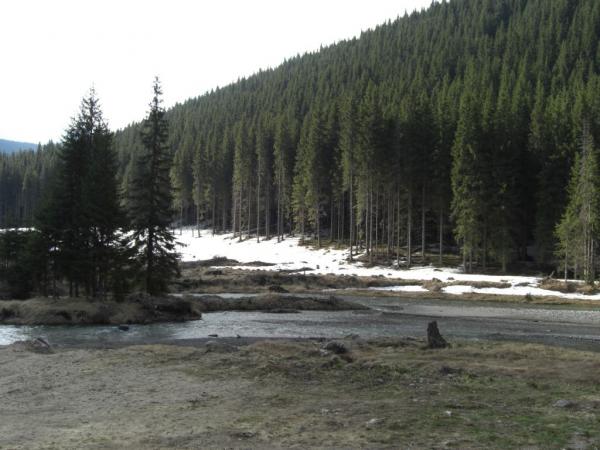 20070501-080730-MK.JPG