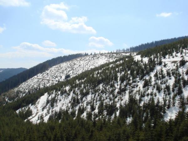20070501-102512-MF.JPG