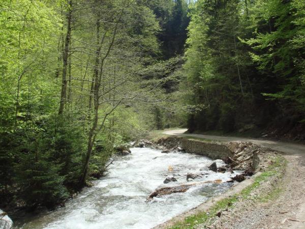 20070501-115044-MF.JPG