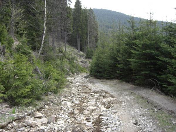 20070501-121216-MK.JPG