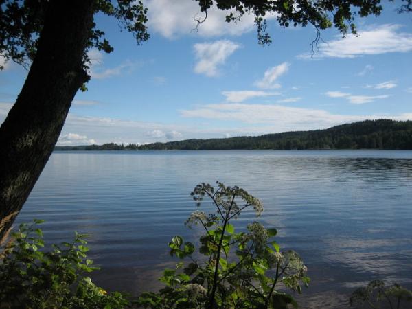2007-07-31_img_1307.jpg