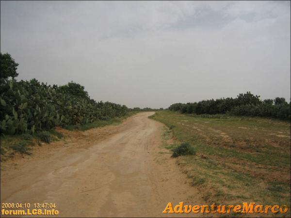 nach Gafsa - 025
