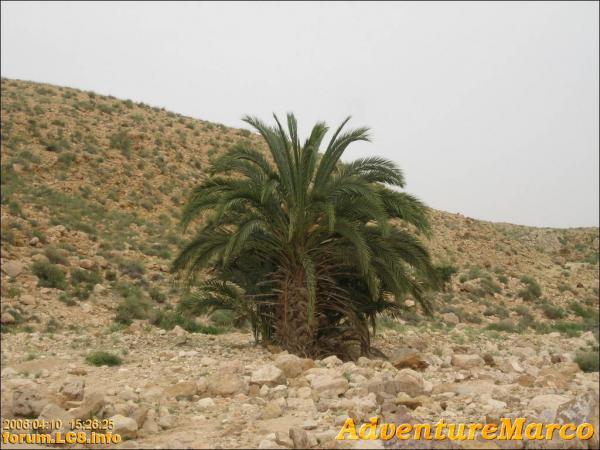 nach Gafsa - 034