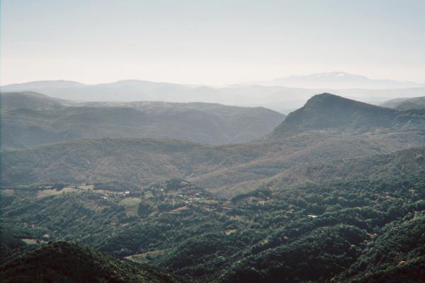imm004_N4.jpg