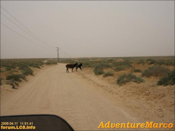 StarWars - Chott El Jerid - 026