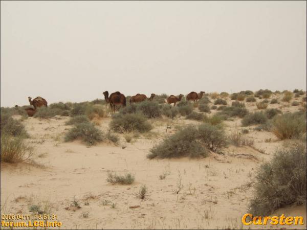 StarWars - Chott El Jerid - 061