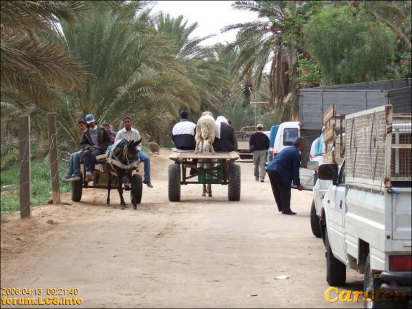 Douz, Richtung Ghilane - 005