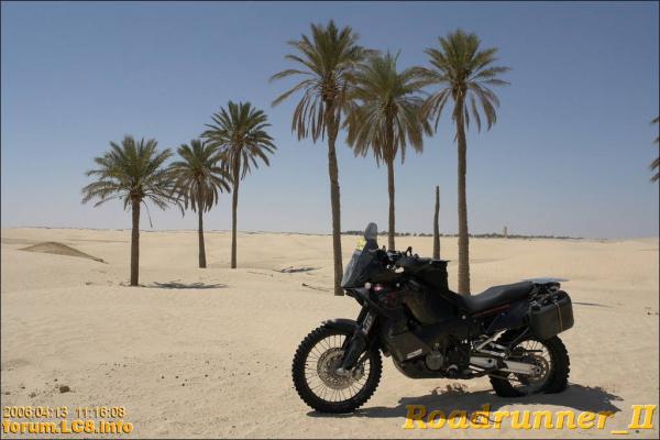 Douz, Richtung Ghilane - 028