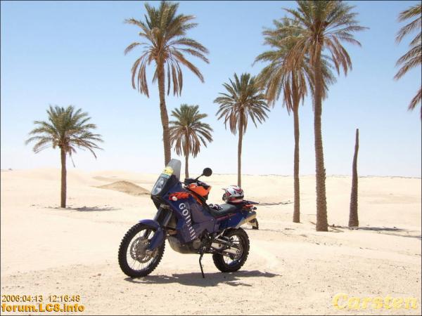 Douz, Richtung Ghilane - 030