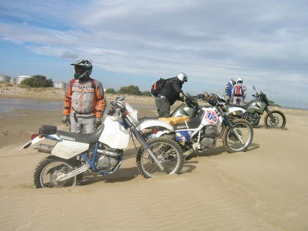 moux2008 022.jpg