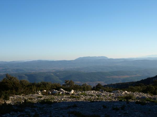 moux2008 064.jpg