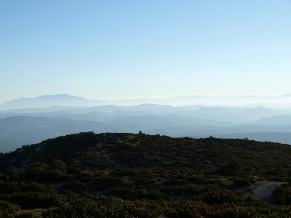 Image 9114