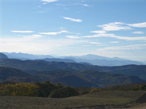 moux2008 105.jpg
