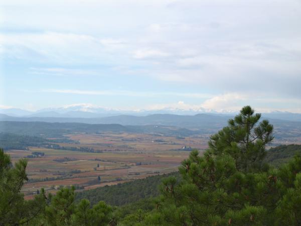 moux2008 128.jpg