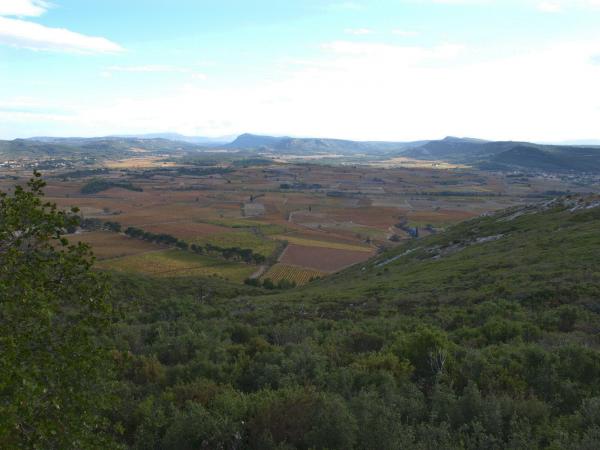 moux2008 146.jpg