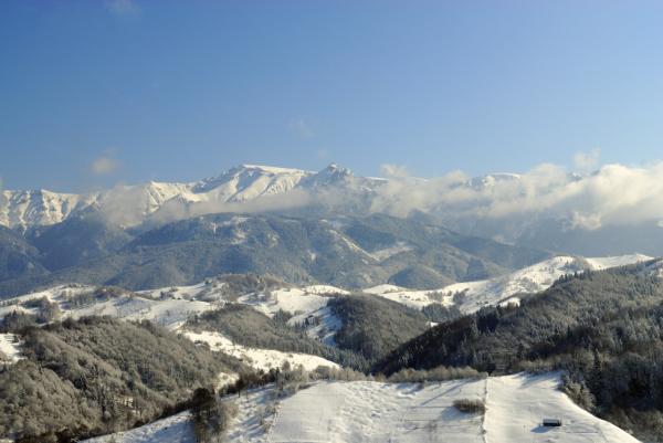 Karpaten--20090214-1117-01.jpg