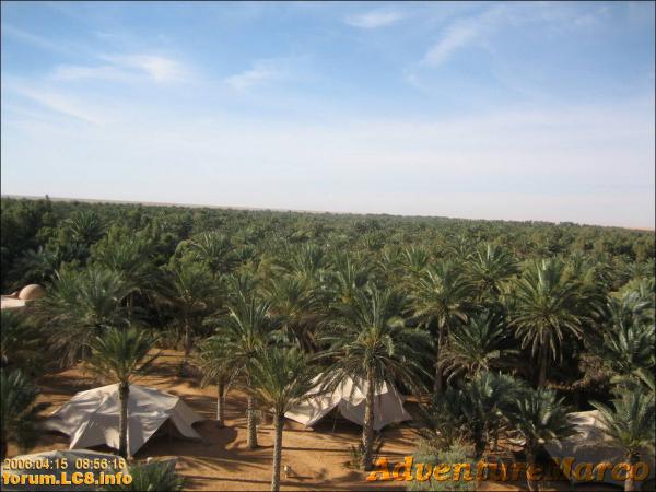 Ruhetag Ksar Ghilane - 003