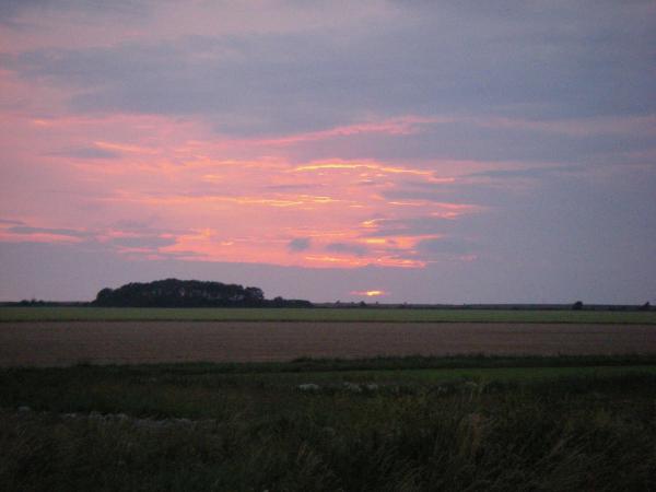 137.JPG