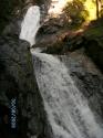 Vorheriges Bild