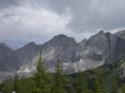 Vorheriges Bild