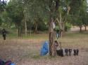 Nchstes Bild