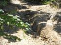 Vorheriges Bild