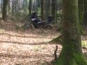 Nchstes Bild