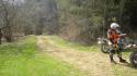 Vorheriges Bild