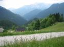 Vorheriges Bild