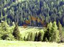 Um die Grosse Lachtal-Hütte herum