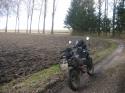Vorheriges Bild