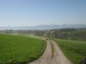 Vorheriges Bild