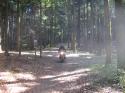 Vorheriges Bild